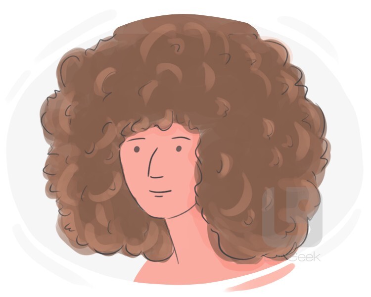 afro hairdo definition and meaning