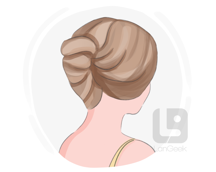 French twist definition and meaning