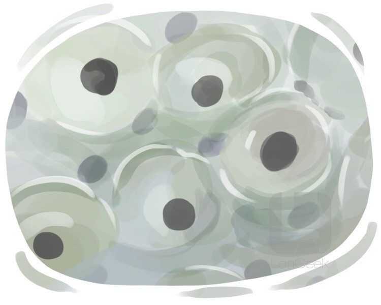 Definition & Meaning of "Spawn" LanGeek