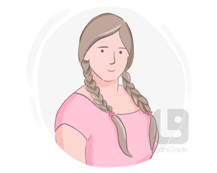 pigtail definition and meaning