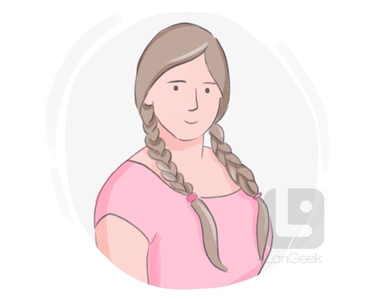 Definition Meaning Of Pigtail LanGeek