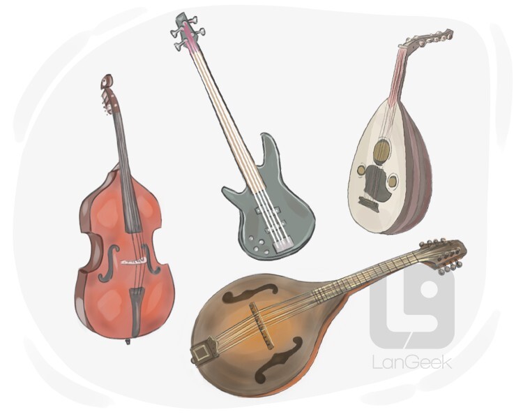 Definition & Meaning of "Stringed instrument" LanGeek