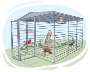 aviary