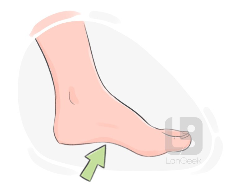 Definition & Meaning of "Arch" LanGeek