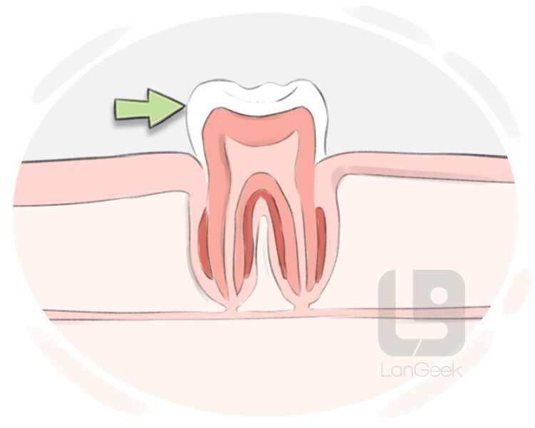 enamel definition and meaning