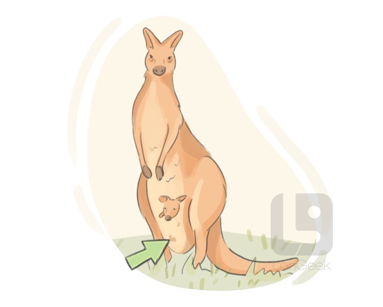 definition-meaning-of-pouch-langeek