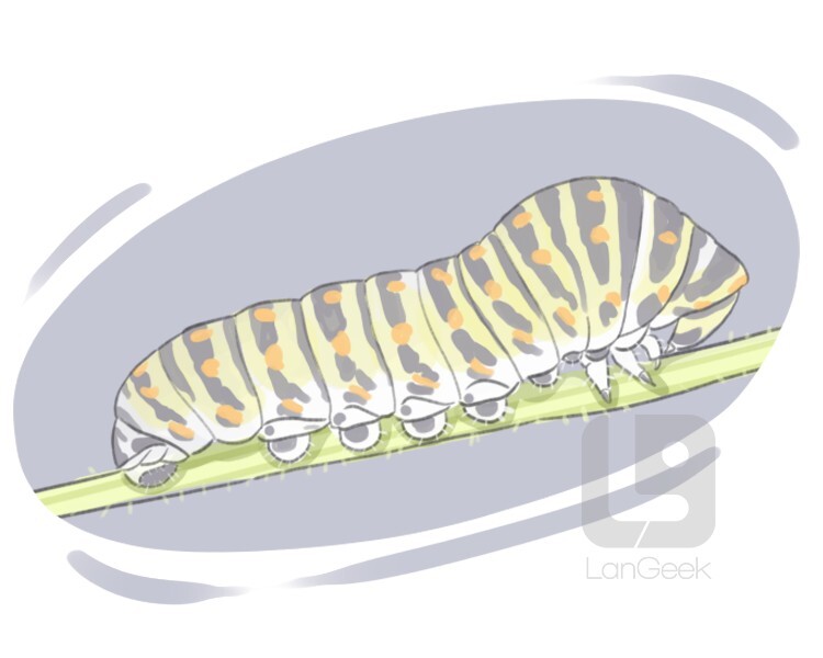 definition-meaning-of-caterpillar-langeek