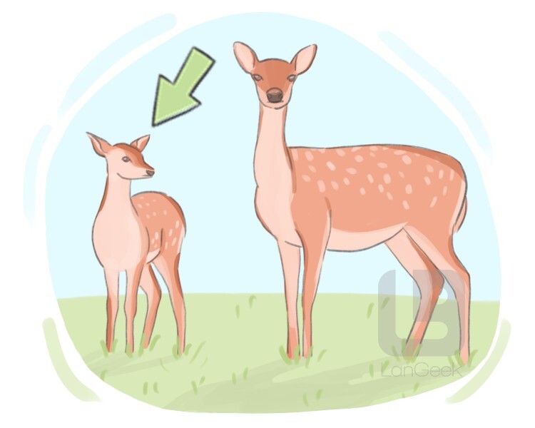 definition-meaning-of-fawn-langeek