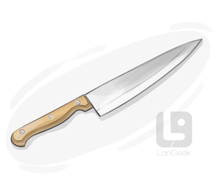 carving knife definition and meaning