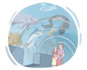 aquarium