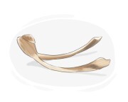 wishbone