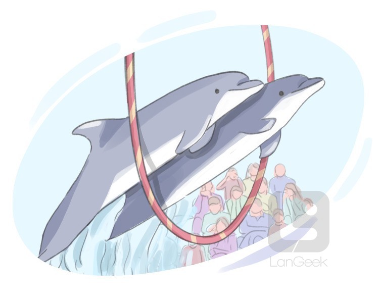 dolphinarium definition and meaning