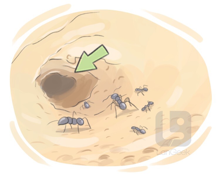 definition-meaning-of-nest-langeek