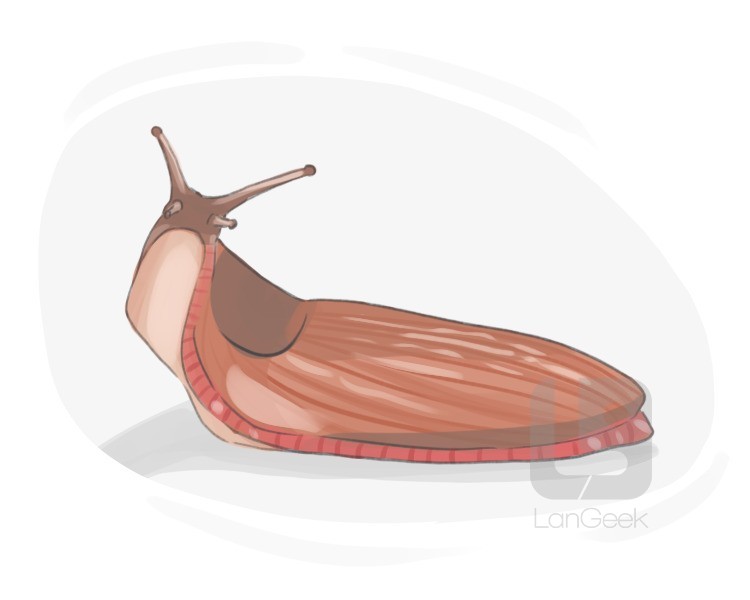 slug definition and meaning