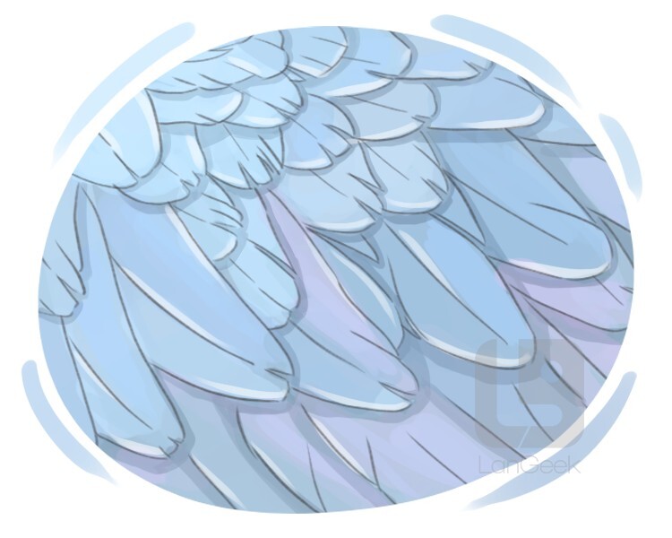 die Daune definition and meaning