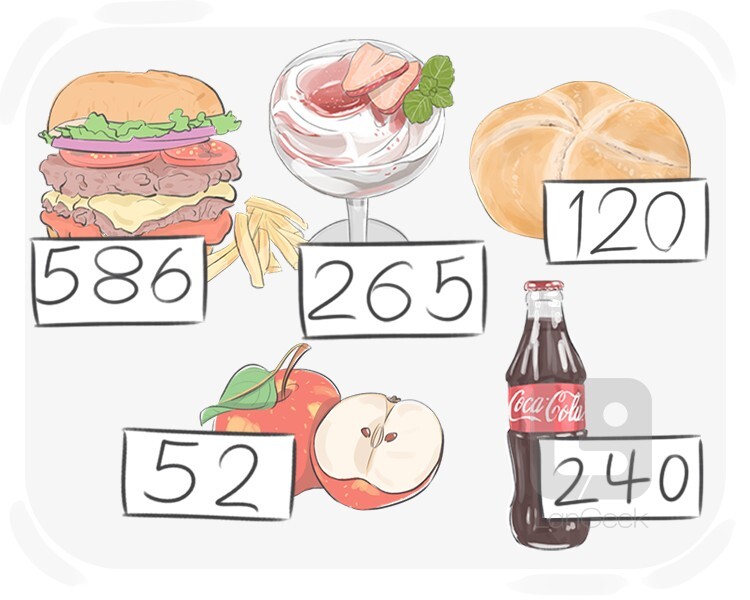 large calorie definition and meaning