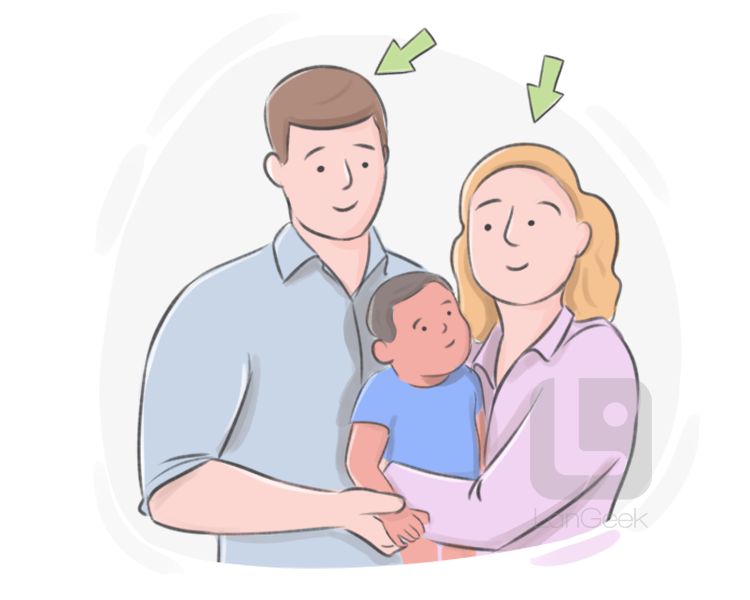 stepparent definition and meaning