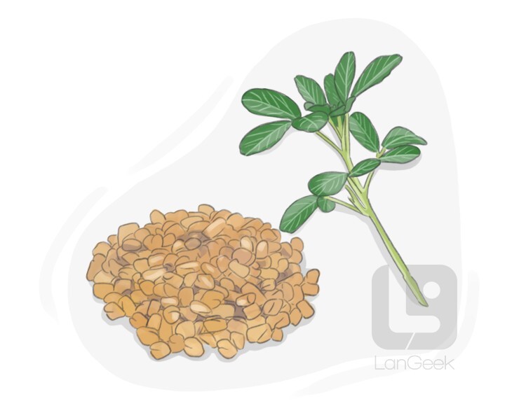 La traduction du mot "Fenugreek" LanGeek