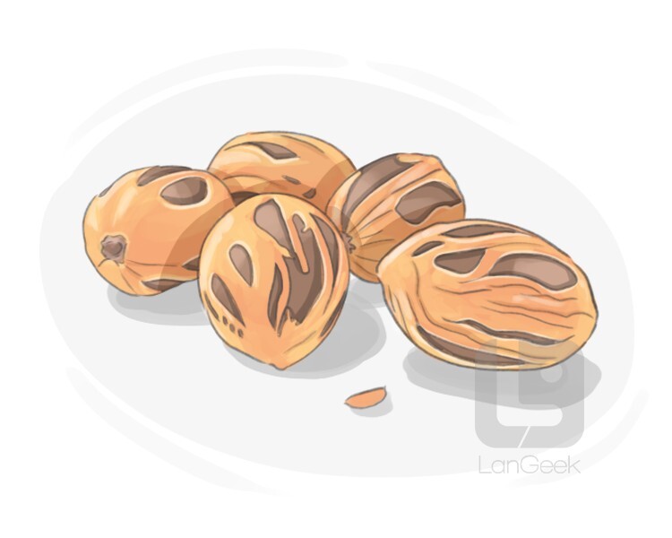 Definition & Meaning of "Nutmeg" LanGeek