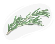 rosemary