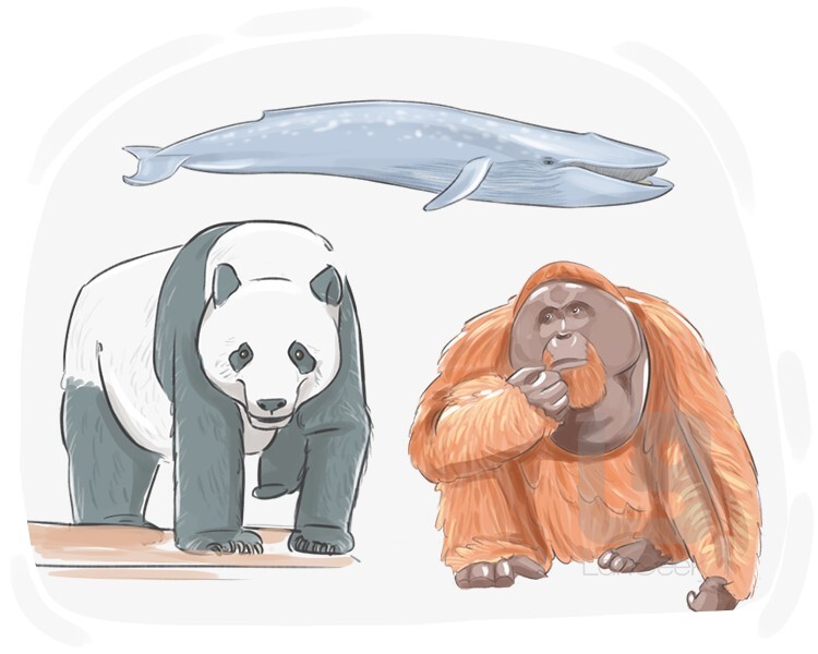 Definition Meaning Of Endangered LanGeek