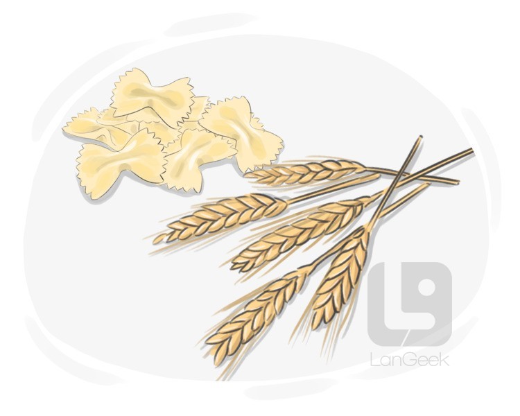 durum wheat definition and meaning