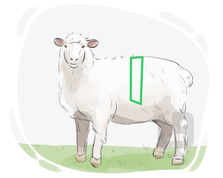 Definition & Meaning of "Loin of lamb" LanGeek