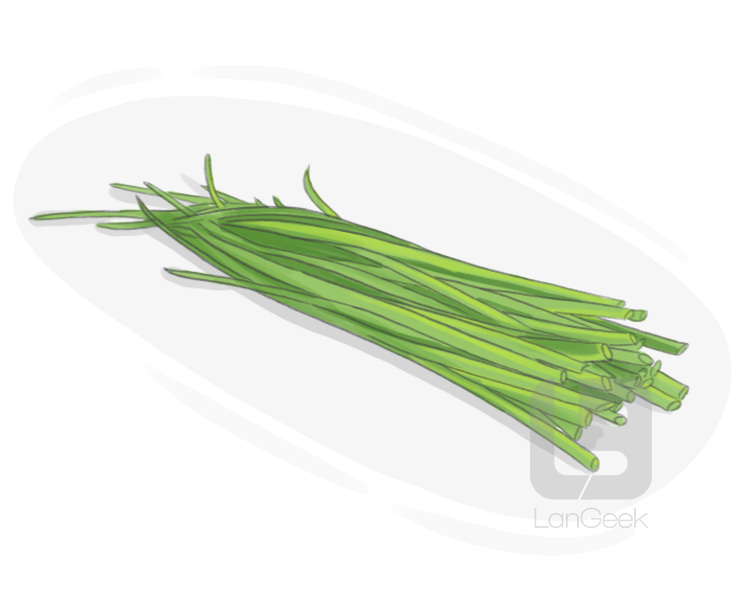 chives definition and meaning