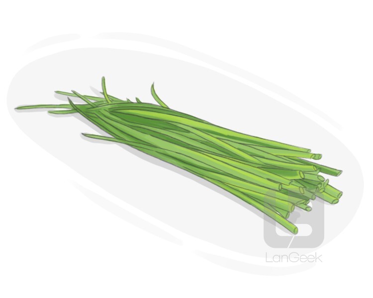 chives definition and meaning