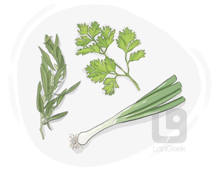 Definition & Meaning of "Fines herbes" LanGeek