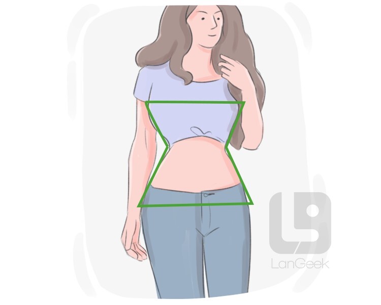 definition-meaning-of-hourglass-figure-langeek