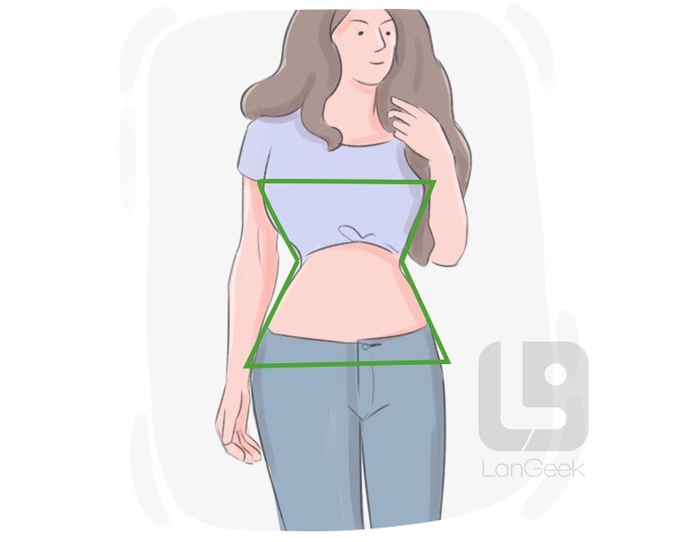hourglass figure definition and meaning