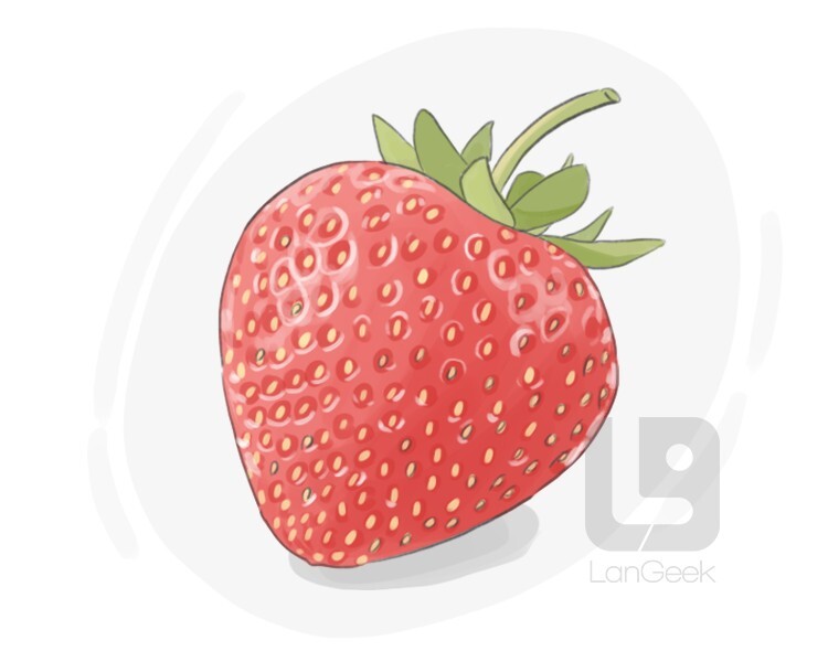 strawberry definition and meaning