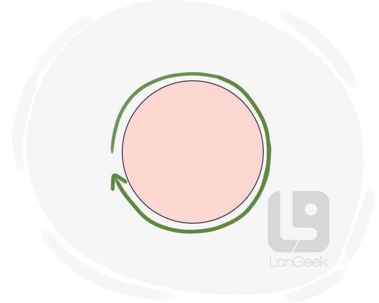 circumference definition and meaning