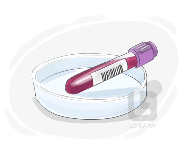 blood test definition and meaning