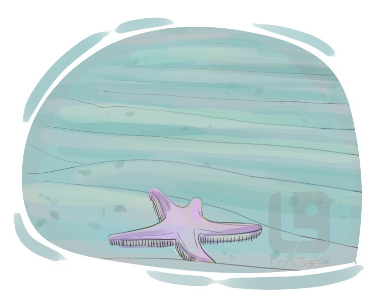 Definition & Meaning of "Seabed" LanGeek