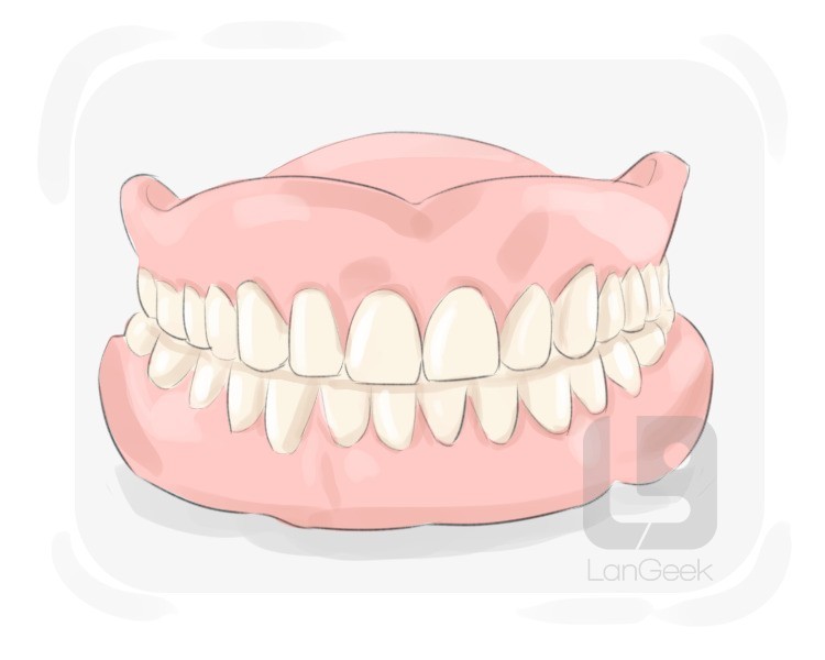 false teeth definition and meaning