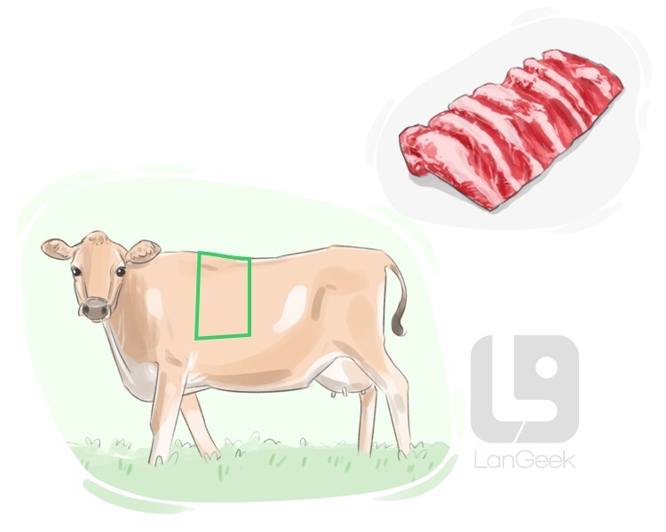 Definition & Meaning of "Rib" LanGeek