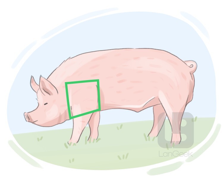 Definition & Meaning of "Picnic ham" LanGeek