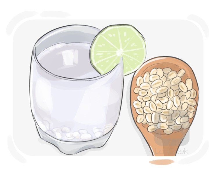 barley water definition and meaning