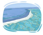 reef