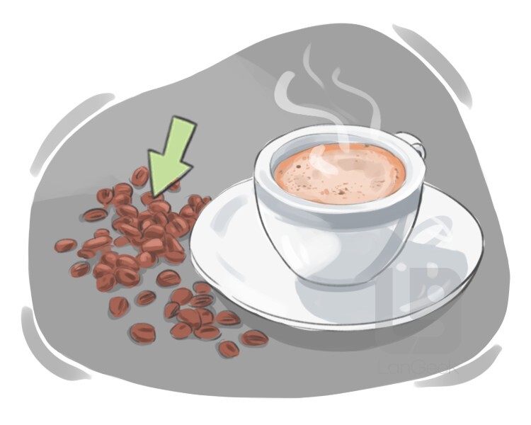 Definition & Meaning of "Coffee bean" LanGeek