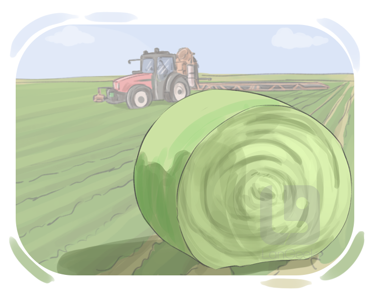 ensilage definition and meaning