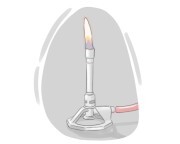 Bunsen burner