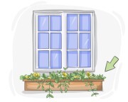 window box