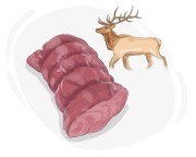 venison