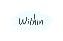 How To Use "Within" in English