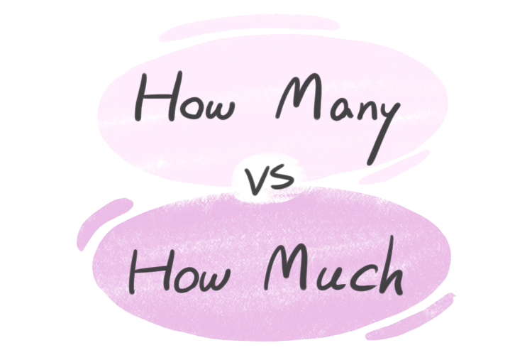 Much vs. Many vs. A lot of