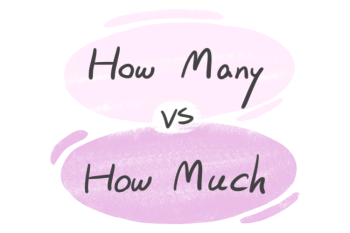 "How Many" vs. "How Much" in the English Grammar