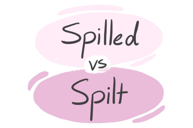 "Spilled" vs. "Spilt" in the English Grammar LanGeek